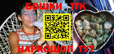индика Партизанск