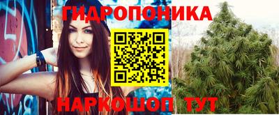 индика Партизанск